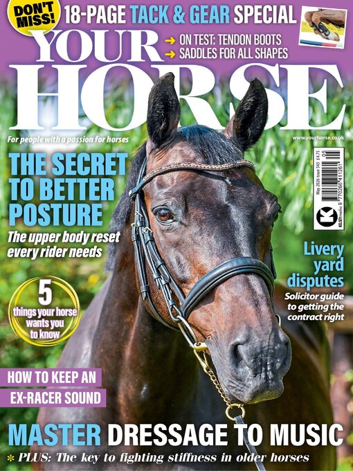 Cover image for Your Horse